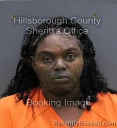 Mugshot of LEVINISHA TRIQUELL DUKES booked in Hillsborough County, Florida on April 11, 2026