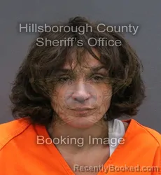 Mugshot of ASHLEY DAAN REDNER booked in Hillsborough County, Florida on April 11, 2026