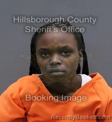 Mugshot of ELIYAH ROLONDA WILLIAMS booked in Hillsborough County, Florida on April 11, 2026
