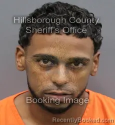 Mugshot of ANTHONY SEBASTIAN III ANDRADE booked in Hillsborough County, Florida on April 11, 2026