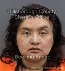 Mugshot of ODALIS BELEN PEREZ GARCIA booked in Hillsborough County, Florida on April 11, 2026