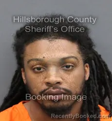 Mugshot of DESMON WAYNE MCKENZIE booked in Hillsborough County, Florida on April 11, 2026