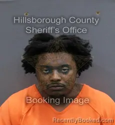 Mugshot of DPARIS JAQUA MAY booked in Hillsborough County, Florida on April 11, 2026
