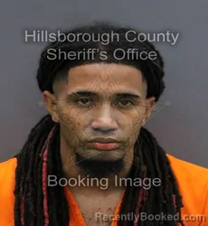 Mugshot of ELYTON TYLER KISS booked in Hillsborough County, Florida on April 11, 2026