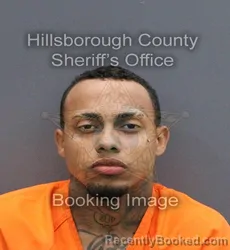 Mugshot of PATRICK RUAN SOUZA ARAUJO booked in Hillsborough County, Florida on April 11, 2026