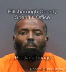 Mugshot of JARVIN JAQUINN HARRIS booked in Hillsborough County, Florida on April 11, 2026