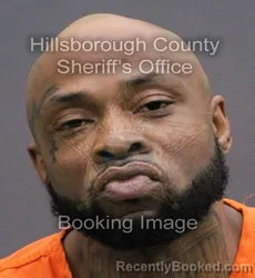Booking photo from Hillsborough County, Florida