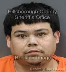 Mugshot of BRIAN EDUARDO CLAVEL