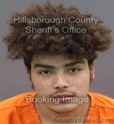 Mugshot of CHRISTIAN ENRIQUE MATOS