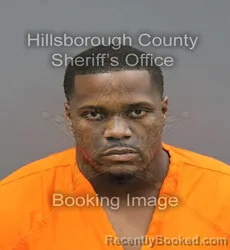 Mugshot of JAMES TAYLOR JR MALLARD