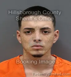 Mugshot of PEDRO HENRIQUE ALVES DA MOTA PAIS