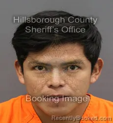 Mugshot of MAYNOR NELSON DENIS CHUB PA