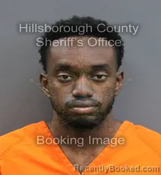 Mugshot of GRADY K NDAMBO booked in Hillsborough County, Florida on April 25, 2026