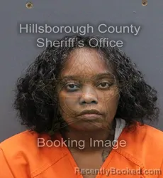 Mugshot of ALEXIS CUMMINGS booked in Hillsborough County, Florida on April 25, 2026