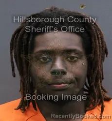 Mugshot of VASHAUN ALEXANDER EDWARDS booked in Hillsborough County, Florida on April 25, 2026