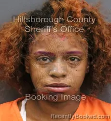 Mugshot of LOREN PRICILLA GODWIN booked in Hillsborough County, Florida on April 25, 2026