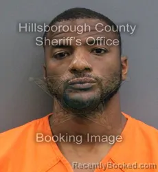 Mugshot of JEREMY SHANE GHOLSTON booked in Hillsborough County, Florida on April 25, 2026