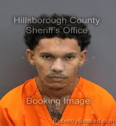 Mugshot of MIGUEL ANTONIO CASTRO MEDEROS booked in Hillsborough County, Florida on April 25, 2026