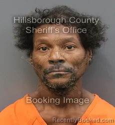 Mugshot of SHANNON DURANT