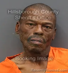 Mugshot of TONY LOVON MIMS