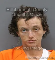 Mugshot of CYNTHIA ANNE CONWAY booked in Hillsborough County, Florida on April 26, 2026