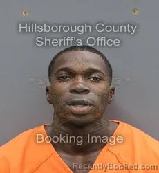 Mugshot of LIFIO WILLIAM JR LYONGA booked in Hillsborough County, Florida on April 26, 2026
