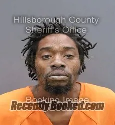 Booking photo from Hillsborough County, Florida