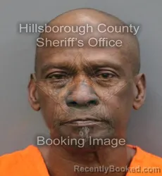 Mugshot of MANDEL CARLTON MCGEE