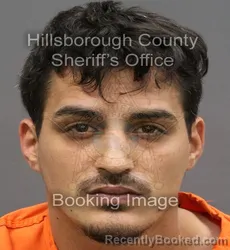 Mugshot of JACOB SCHELMETY