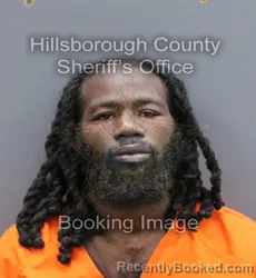 Mugshot of COREY GERRARD HARRIS