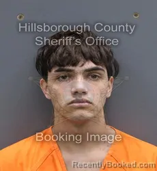 Mugshot of GABRIEL JESUS DE LA MORA