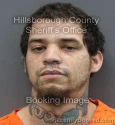 Mugshot of LUIS ALICEA