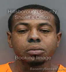 Mugshot of RIKARDO JERROD PALMER