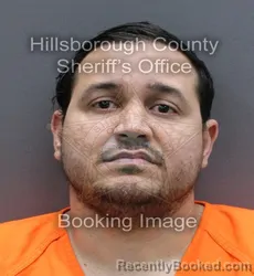 Mugshot of ROBERTO IVAN PARES ROSAS