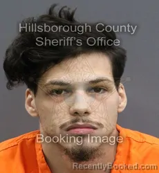 Booking photo from Hillsborough County, Florida