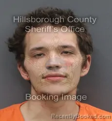 Mugshot of JACOB REED DANIELSON booked in Hillsborough County, Florida on May 5, 2026
