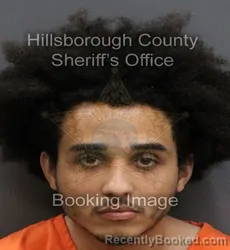 Mugshot of MATTHEW IRIZARRY booked in Hillsborough County, Florida on May 5, 2026