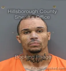 Mugshot of JORDAN MICHAEL ANGELO WHITE booked in Hillsborough County, Florida on May 5, 2026