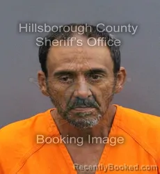 Mugshot of JOSE ANIBAL LAO GARCIA booked in Hillsborough County, Florida on May 5, 2026
