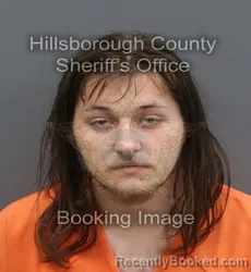Mugshot of MIKALE EDWARD DATTOLI booked in Hillsborough County, Florida on May 5, 2026