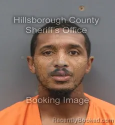 Mugshot of JOHNATHAN ROSS EVANS booked in Hillsborough County, Florida on May 5, 2026