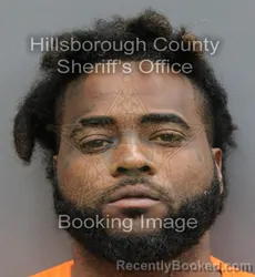 Mugshot of SYLVESTER JR SIMS