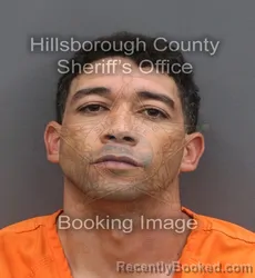 Mugshot of YURIEN OLIVERA PEREZ booked in Hillsborough County, Florida on May 5, 2026