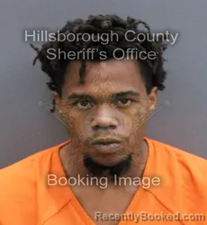 Mugshot of LYNDON SYLVESTER JENKINS booked in Hillsborough County, Florida on May 5, 2026