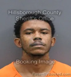 Mugshot of RAIMON J MALONE booked in Hillsborough County, Florida on May 5, 2026