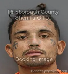 Mugshot of RAUL JR DIAZ