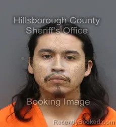 Mugshot of GAMALIEL CARMONA booked in Hillsborough County, Florida on May 6, 2026
