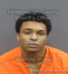 Mugshot of DEERIC KISHAWN JOHNSON booked in Hillsborough County, Florida on May 6, 2026