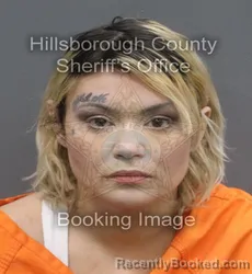 Mugshot of BRITTANY NICHOLE MILLER booked in Hillsborough County, Florida on May 6, 2026