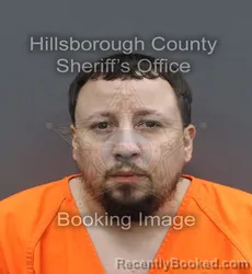 Mugshot of DAVID JR MEDINA booked in Hillsborough County, Florida on May 6, 2026